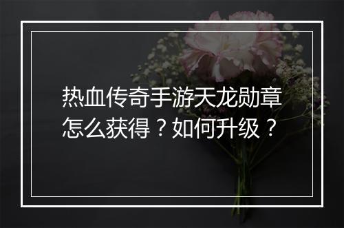 热血传奇手游天龙勋章怎么获得？如何升级？