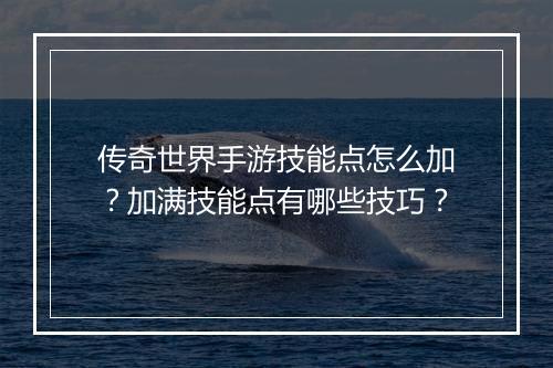 传奇世界手游技能点怎么加？加满技能点有哪些技巧？