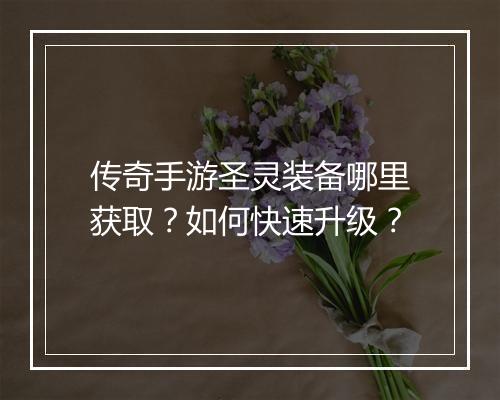 传奇手游圣灵装备哪里获取？如何快速升级？