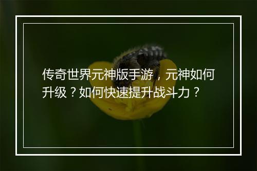 传奇世界元神版手游，元神如何升级？如何快速提升战斗力？