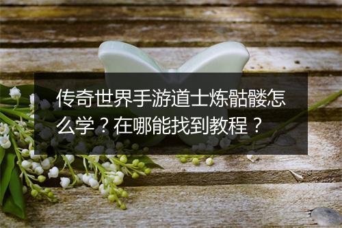 传奇世界手游道士炼骷髅怎么学？在哪能找到教程？