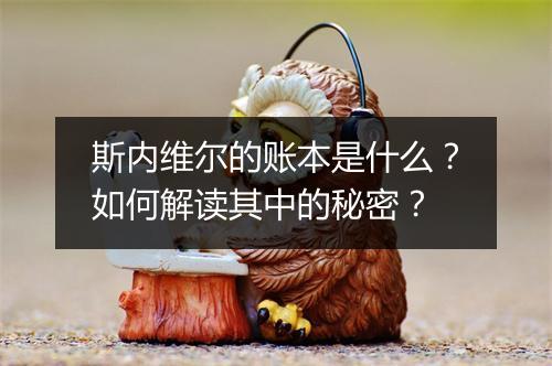 斯内维尔的账本是什么？如何解读其中的秘密？
