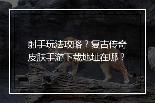 射手玩法攻略？复古传奇皮肤手游下载地址在哪？