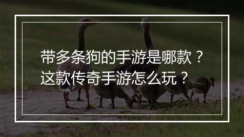 带多条狗的手游是哪款？这款传奇手游怎么玩？