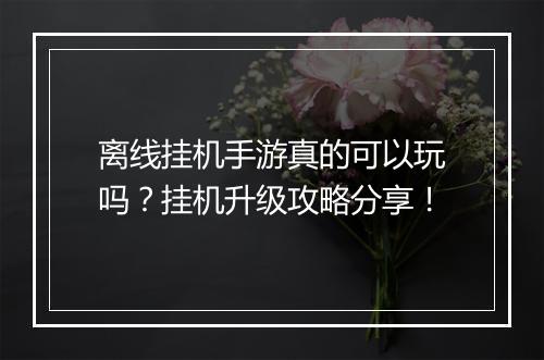 离线挂机手游真的可以玩吗？挂机升级攻略分享！