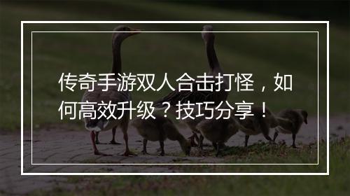传奇手游双人合击打怪，如何高效升级？技巧分享！