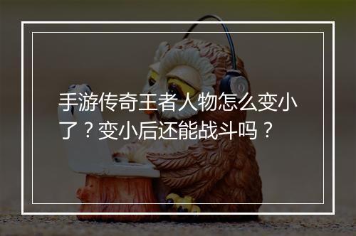 手游传奇王者人物怎么变小了？变小后还能战斗吗？