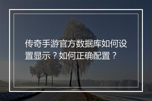 传奇手游官方数据库如何设置显示？如何正确配置？