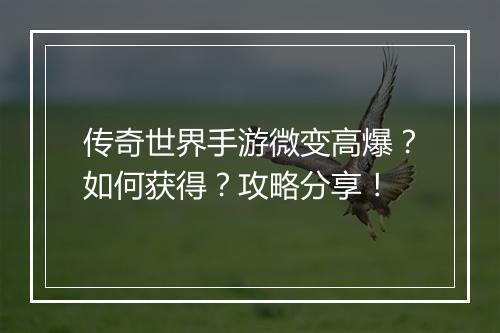 传奇世界手游微变高爆？如何获得？攻略分享！
