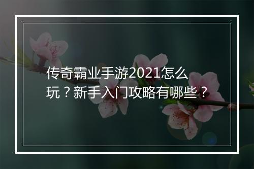 传奇霸业手游2021怎么玩？新手入门攻略有哪些？