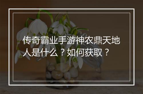 传奇霸业手游神农鼎天地人是什么？如何获取？