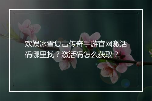 欢娱冰雪复古传奇手游官网激活码哪里找？激活码怎么获取？