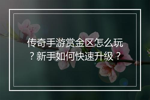 传奇手游赏金区怎么玩？新手如何快速升级？