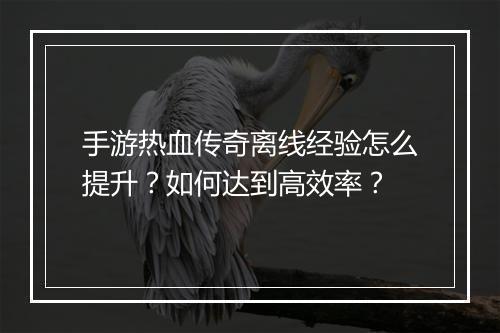 手游热血传奇离线经验怎么提升？如何达到高效率？