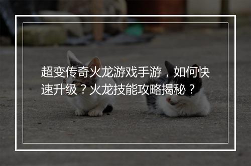 超变传奇火龙游戏手游，如何快速升级？火龙技能攻略揭秘？