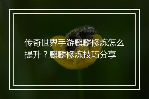 传奇世界手游麒麟修炼怎么提升？麒麟修炼技巧分享