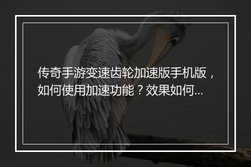 传奇手游变速齿轮加速版手机版，如何使用加速功能？效果如何？