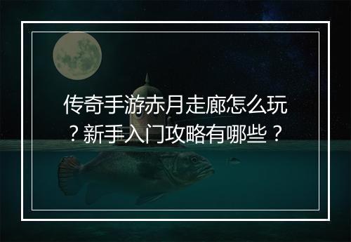 传奇手游赤月走廊怎么玩？新手入门攻略有哪些？