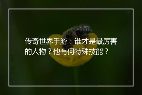 传奇世界手游：谁才是最厉害的人物？他有何特殊技能？