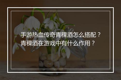 手游热血传奇青稞酒怎么搭配？青稞酒在游戏中有什么作用？