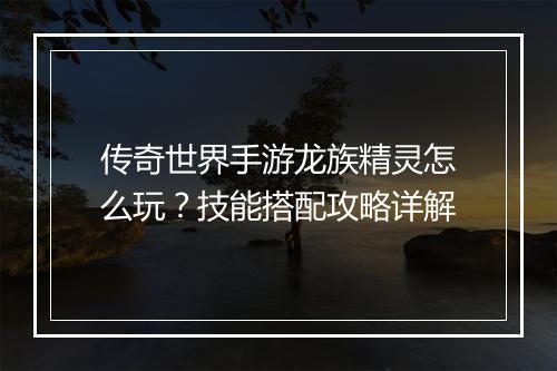 传奇世界手游龙族精灵怎么玩？技能搭配攻略详解