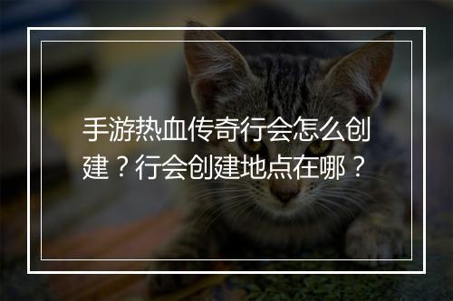 手游热血传奇行会怎么创建？行会创建地点在哪？