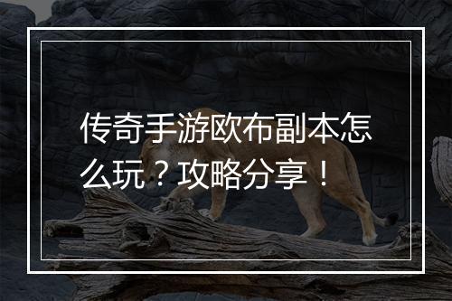 传奇手游欧布副本怎么玩？攻略分享！