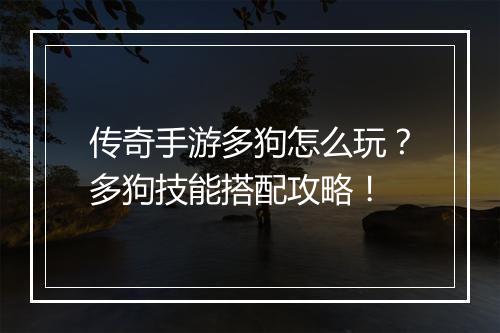 传奇手游多狗怎么玩？多狗技能搭配攻略！