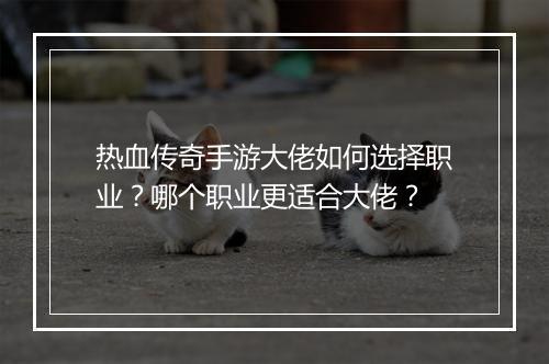 热血传奇手游大佬如何选择职业？哪个职业更适合大佬？