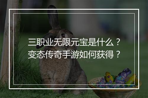 三职业无限元宝是什么？变态传奇手游如何获得？