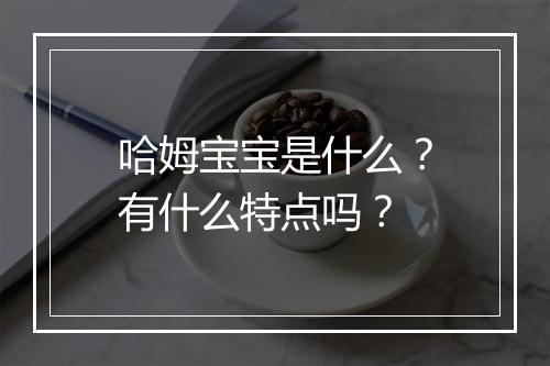哈姆宝宝是什么？有什么特点吗？