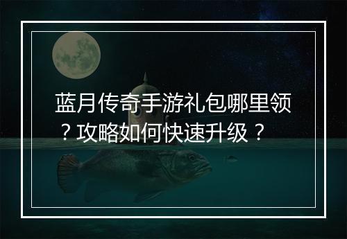蓝月传奇手游礼包哪里领？攻略如何快速升级？