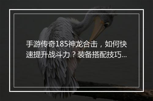 手游传奇185神龙合击，如何快速提升战斗力？装备搭配技巧揭秘！