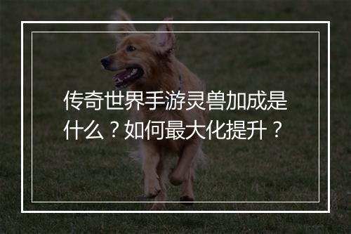 传奇世界手游灵兽加成是什么？如何最大化提升？