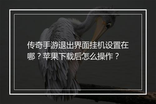 传奇手游退出界面挂机设置在哪？苹果下载后怎么操作？
