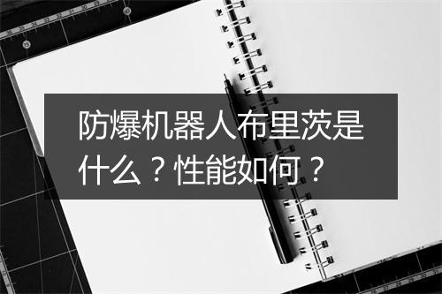 防爆机器人布里茨是什么？性能如何？