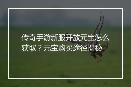 传奇手游新服开放元宝怎么获取？元宝购买途径揭秘