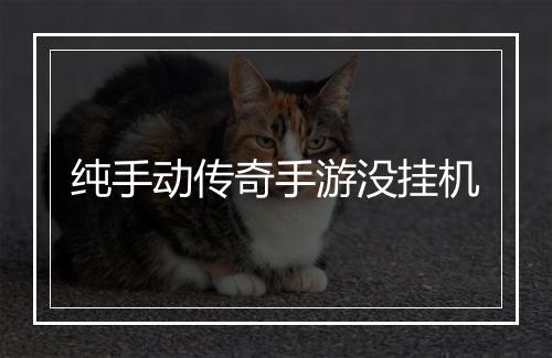 纯手动传奇手游没挂机