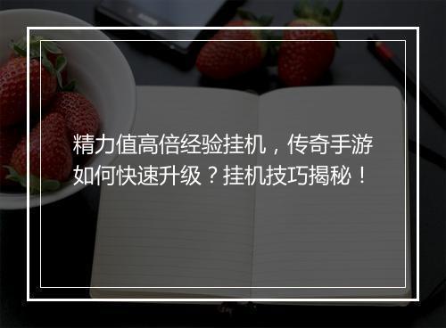 精力值高倍经验挂机，传奇手游如何快速升级？挂机技巧揭秘！