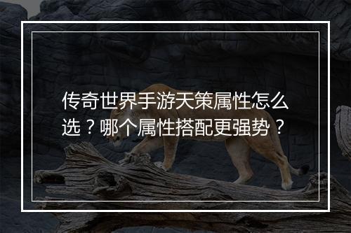 传奇世界手游天策属性怎么选？哪个属性搭配更强势？