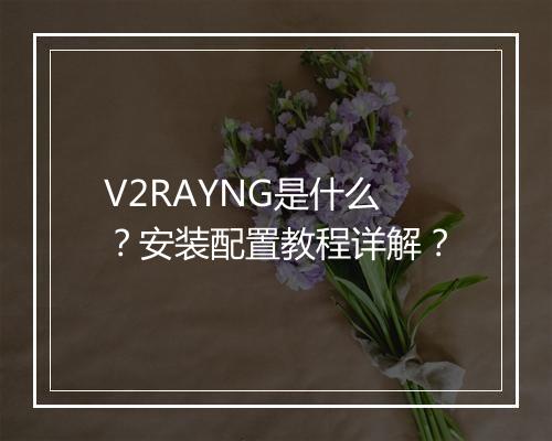 V2RAYNG是什么？安装配置教程详解？