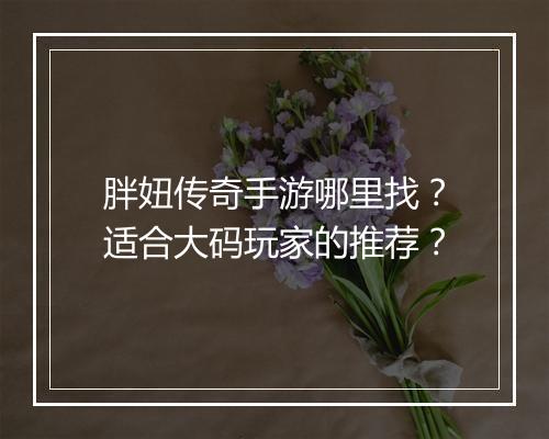 胖妞传奇手游哪里找？适合大码玩家的推荐？