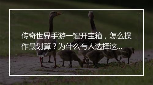传奇世界手游一键开宝箱，怎么操作最划算？为什么有人选择这种方法？
