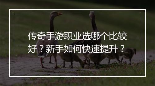 传奇手游职业选哪个比较好？新手如何快速提升？