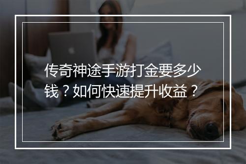 传奇神途手游打金要多少钱？如何快速提升收益？