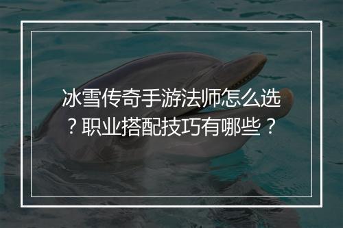 冰雪传奇手游法师怎么选？职业搭配技巧有哪些？