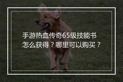 手游热血传奇65级技能书怎么获得？哪里可以购买？
