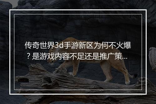 传奇世界3d手游新区为何不火爆？是游戏内容不足还是推广策略失误？