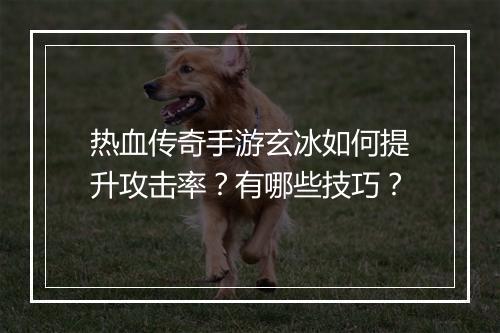 热血传奇手游玄冰如何提升攻击率？有哪些技巧？