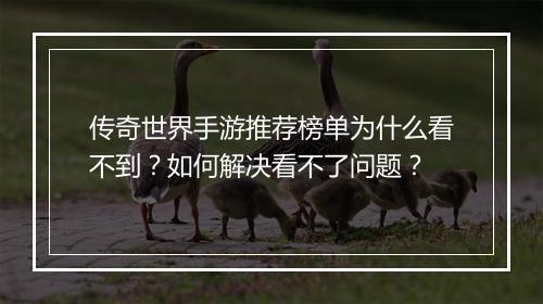 传奇世界手游推荐榜单为什么看不到？如何解决看不了问题？